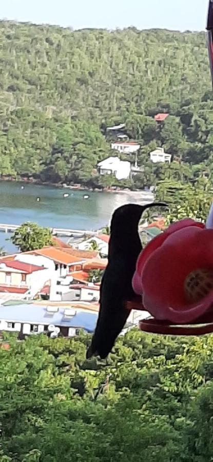 Appartement Colibri , Les Anses D 'Arlet Zewnętrze zdjęcie